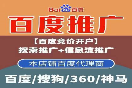 百度SEO推广策略深度解读：某企业网络营销的胜利之路